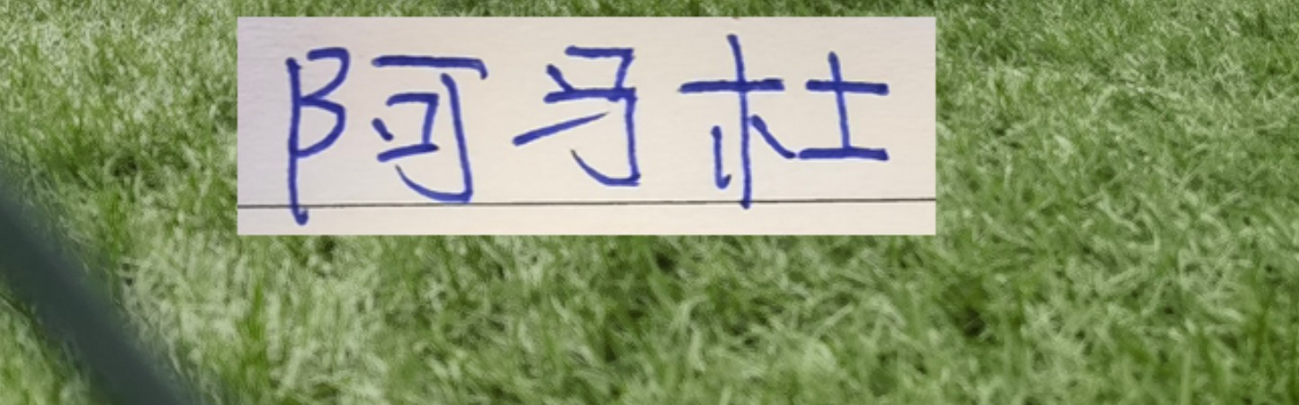 银河娱乐城app下载-第一轮外援中场大腿 没想到前申花外援阿马杜回春了！