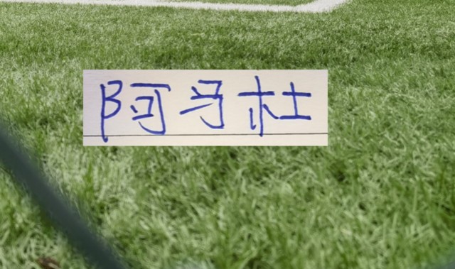 银河娱乐城app下载-第一轮外援中场大腿 没想到前申花外援阿马杜回春了！